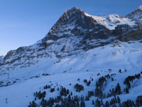 Eiger North Face Mountain at Sunset in Winter. Evening Twilight, Blue Hour. Swiss Alps. Switzerland