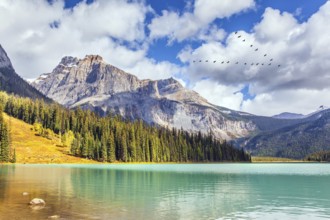 Magnificent Emerald Lake. Picturesque huge lake in the Canadian Rockies. Early morning. Coniferous
