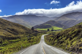 Magnificent highway in New Zealand amid fields and mountains. South Island. Concept of active and