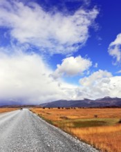 The dirt road in the endless pampas. Strong wind drives the clouds. See the mountains on the