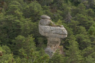 Remarkable rock called La Poule de Houdan in Cevennes National Park, UNESCO World Heritage Site.