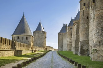 Cite de Carcassonne is a medieval citadel located in the French city of Carcassonne. Towers and