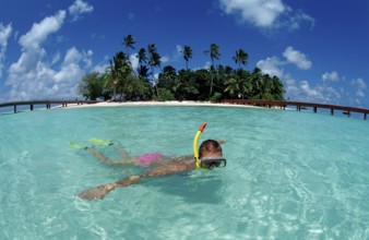 Snorkelling off Maldives Island, Maldives, Indian Ocean, Medhufushi, Meemu Atoll