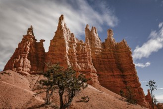 Giant natural amphitheaters along the eastern side of the Paunsaugunt Plateau. Mormon pioneers in
