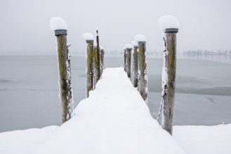 Snow-covered pier jutting into the misty lake, Seegarten, Allensbach, Lake Constance,