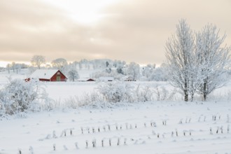 Rural winter landscape with a farm