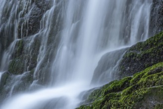 Fresh and beautiful waterfalls in a mountain torrent in spring. La Serva, Champ du feu, Vosges,