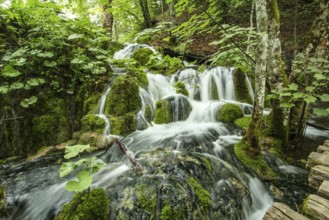 Scenic water landscape at Plitvice Lakes National Park in Croatia
