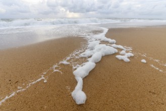 Sandy beach on the Atlantic coast in France near olonne sur mer