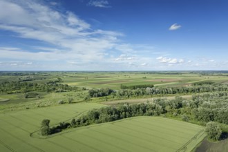 Aerial view of agricultural fields. Countryside, Agricultural Landscape Aerial view