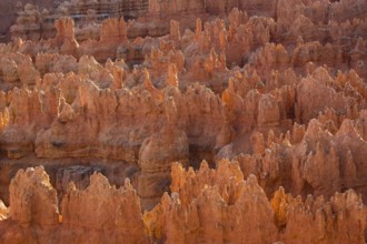 Bryce Canyon, Utah, USA