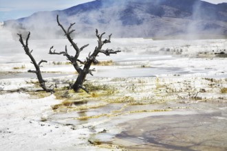 Improbably fantastic landscape in Yellowstone national Park