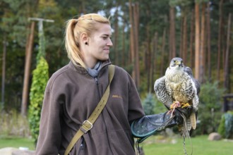 Animal keeper apprentice Nadin with saker falcons Skiure