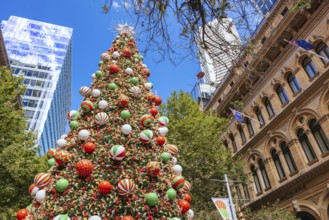 SYDNEY, AUSTRALIA DECEMBER 3 2023: Martin Place with Christmas tree, lights and decorations in the