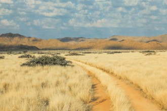 Dirt Road in landscape desert at sunset. Solitaire, Namibia