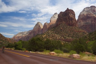 Typical red road in Zion National Park, USA