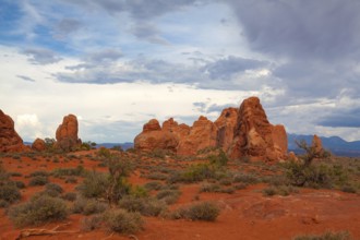 Arches National Park, Moab, Utah, USA. Bordered by the Colorado River in the southeast, it is known