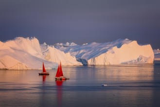 Large glaciers in the bay by the rocky shore in the light of the setting sun with fog over the