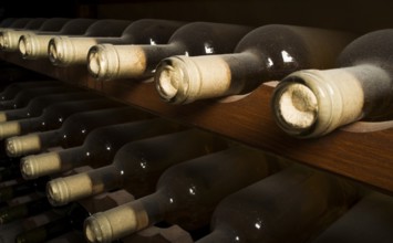 Wine bottles on shelf. Wine cellar. Close up wine bottles