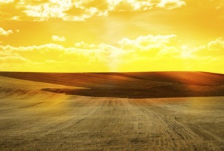 Agricultural land and yellow sunset sky