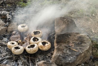 Mushrooms grilled on a coals in nature. Fog