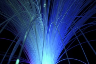 Blue colors optical fibers