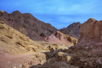 Dry stone desert near the southern seaside resort of Eilat. Woman photographer on a dirt road at