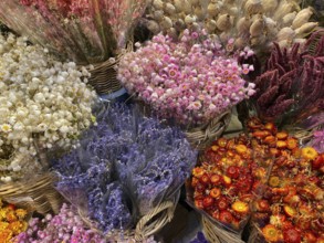 Flower Market in Amsterdam. It is the only floating flower market in the world, and one of the most