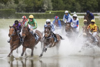 WROCLAW, POLAND - APRIL 15, 2018: International race with obstacles for five years and older horses