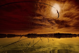 In the foreground a spider's web wet with dew, in the background a lake and a sunrise