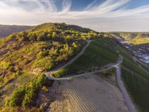 Sunset over the vineyards in the Ahr Valley, aerial view