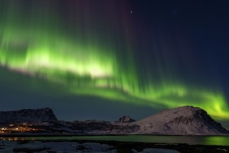 Northern Lights (Aurora borealis), Aurora Borealis, Lofoten, Norway