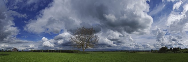 Cloud formations with tree