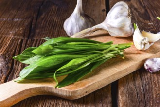 Fresh and tasty wild garlic