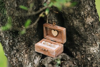 Wedding rings in a wooden box for rings handmade in the grass