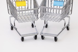 Two shopping trolley on the white background