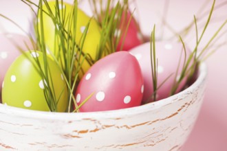 Decorative eggs in pot with grass over pink background. Easter decor