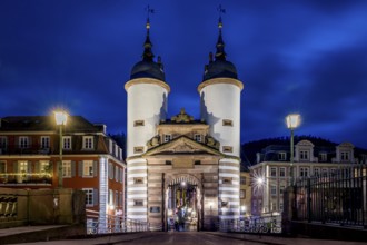 Night view of Heidelberg with illuminated castle and bridge over the Neckar, Old bridge in