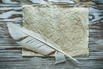 Vintage paper feather on wooden board top view