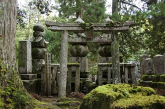 Okunoin cemetery at Mount Koya and Koya-san in Wakayama, Japan. World Heritage Site, Koya-san,