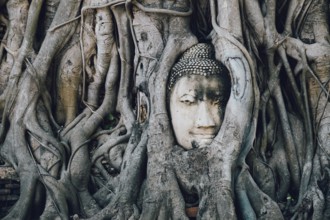 Buddha statue trapped in tree roots at Wat Maha That, Ayutthaya, Thailand