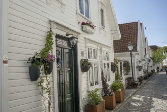Narrow alley with white houses and many blooming flowers in pots, stavanger, norway