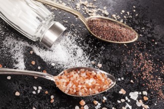 Types of himalayan salts in spoons and classic salt in shaker