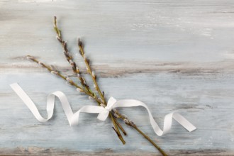 Traditional easter background. Pussy willow branch with ribbon on blue wooden background, top view