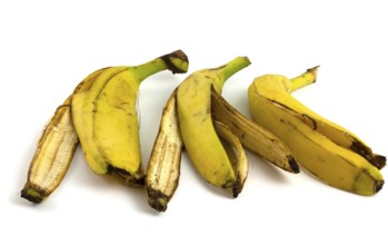 Three peels from bananas that begin to rot. Organic fruit waste isolated on white background