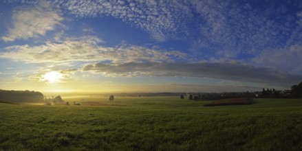 Morning atmosphere in the Altshausener Ried