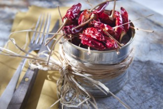 Presentation of the ingredient prince of the kitchen, dried chili