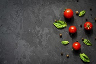 Juicy ripe cherry tomatoes with green basil leaves and black pepper on black background. Health