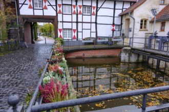 Canal with half-timbered house in the background and autumn leaves on the water, gemen,