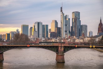 A big city in the evening at sunset. Modern buildings in a skyline by the river. Skyscrapers are